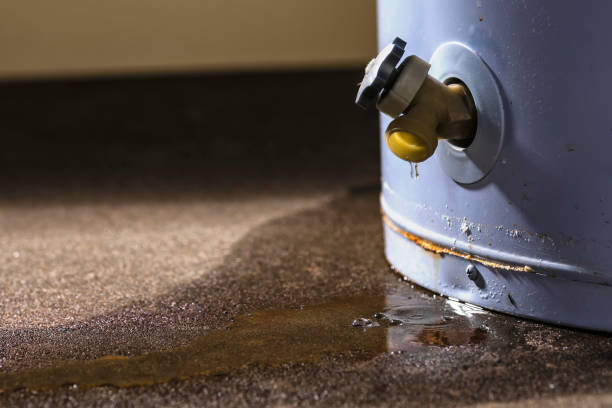 Best Water damage restoration near me  in Lofall, WA