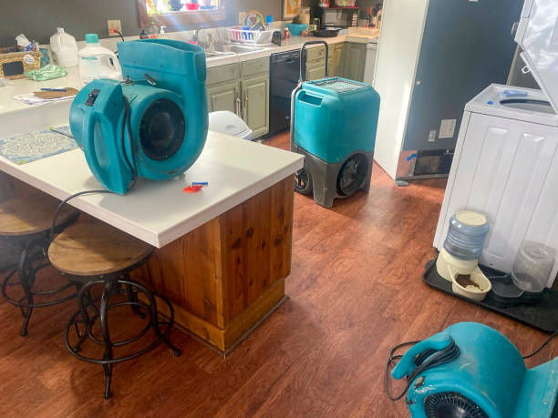 Water damage restoration insurance claims in Lofall, WA