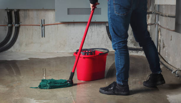 Professional Water damage restoration in Lofall, WA