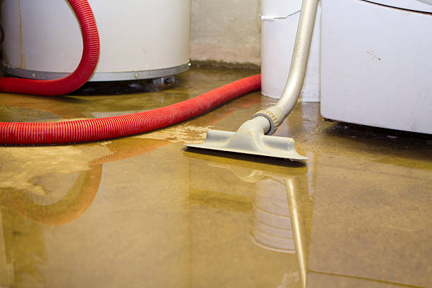 Best Water damage contractors near me  in Lofall, WA