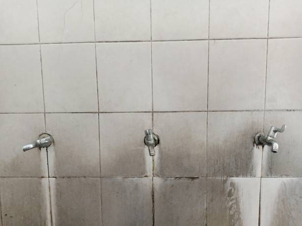 Best Water damage restoration insurance claims  in Lofall, WA