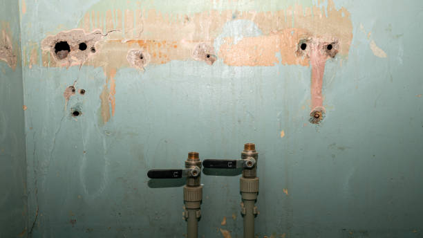 Best Sewage cleanup and water damage restoration  in Lofall, WA