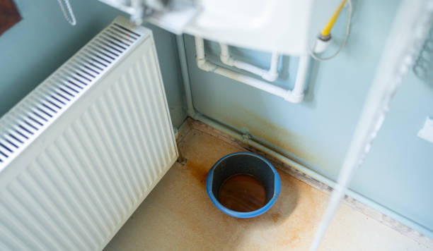 Best Mold removal after water damage  in Lofall, WA