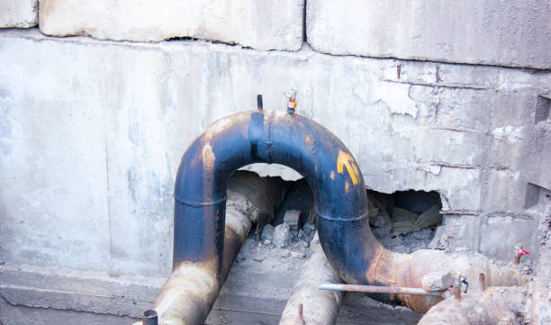 Best Local water damage restoration  in Lofall, WA