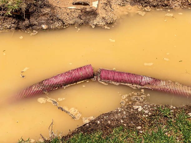 Best Flood damage cleanup  in Lofall, WA