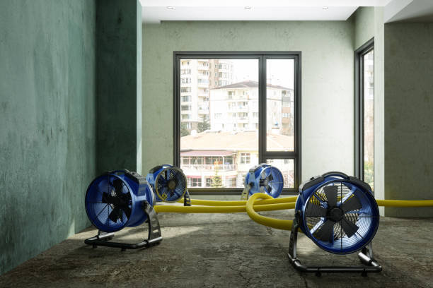 Best 24-hour water damage restoration  in Lofall, WA
