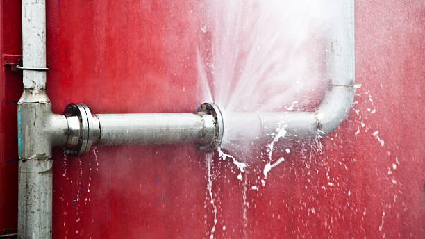 Best Water damage restoration mold remediation  in Lofall, WA